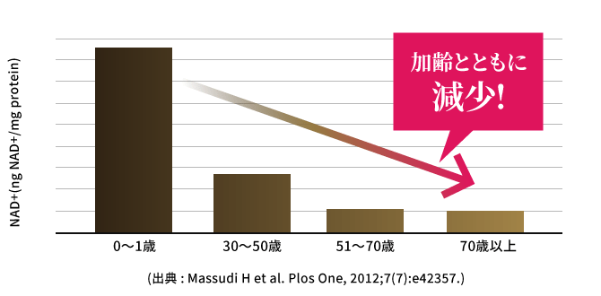 加齢とNAD+量の関係（グラフ）