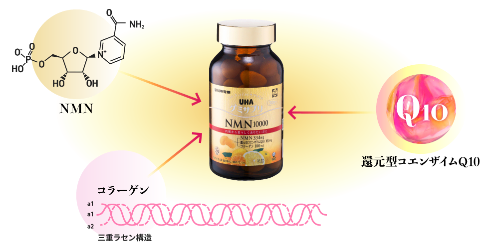 NMNに加え、還元型コエンザイムQ10やコラーゲンも組み合わせた『UHAグミサプリ NMN10000』